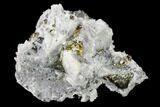 Quartz and Cubic Pyrite Crystal Association - Peru #149591-2